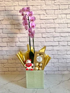 Kit Orquídea Rosa + Chocolate + Pelúcia + Vaso