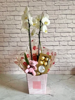 Kit Orquídea Branca + Chocolate + Pelúcia + Vaso